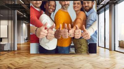 Group of different senior and young people giving thumbs up. Dream team of smiling friends, colleagues or business partners doing like gesture, hands closeup. Satisfaction, successful teamwork concept Wall mural