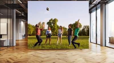 Group of friends having fun playing with a ball on a grass picnic in a summer park. Wall mural