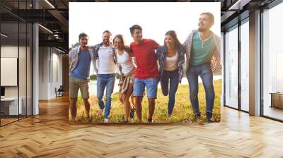 Group of people smiling standing on a picnic Wall mural