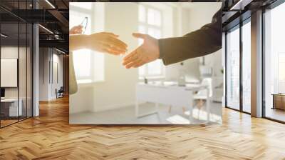 Handshake of businessmen. Female and male hand makes a handshake in the office. Wall mural