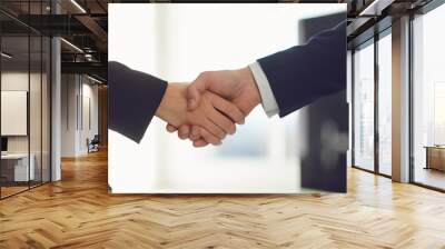 Handshake of businesspeople. Businesspeople hands makes a handshake in the office. Wall mural