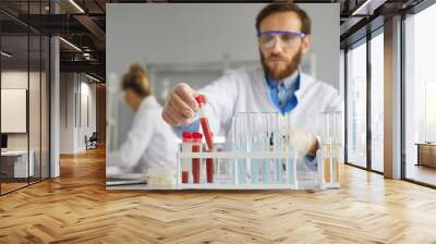 Preparation of blood samples in test tubes for medical examination in a modern laboratory. Male scientist examines blood test tubes during laboratory testing. Selective focus. Blurred background. Wall mural