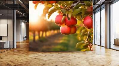 Fruit farm with apple trees. Branch with natural apples on blurred background of apple orchard in golden hour. Concept organic, local, season fruits and harvesting. Generative AI technology. Wall mural