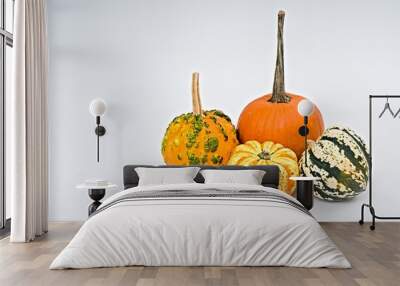 Pumpkin selection  for Halloween on white background Wall mural