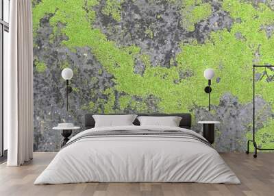 background texture: the surface of old concrete slab covered with moss or algae Wall mural