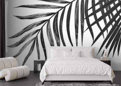 black leaves of palm tree on white background Wall mural