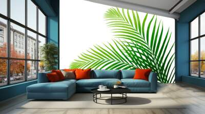 Green leaf of palm tree on white background Wall mural