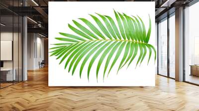 palm tree leaf on transparent background png file Wall mural