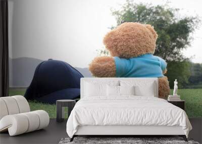 Teddy bear sitting on the grass with cap gap . Concept about tra Wall mural