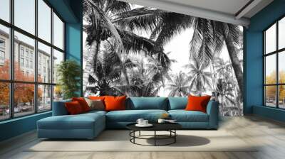 tropical coconut palm leaves tree for silhouette summer background Wall mural