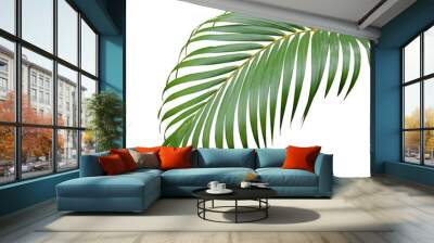 tropical green palm leaf tree isolated on white background Wall mural