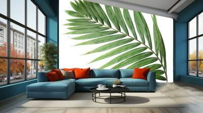 tropical nature green palm leaf on transparent background png file Wall mural