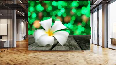 white frangipani and multicolored defocused bokeh lights backgro Wall mural