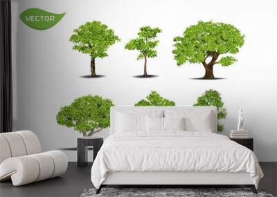 Isolated green tree on white background. Single tropical tree in vector illustrative. Concept for landscaped decoration of tree in garden and architectural design Wall mural