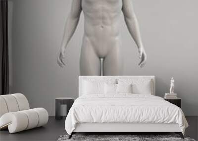 Male body anatomical illustration over a light background. 3D render. Wall mural