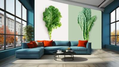 Creative layout made of kale on white background. Flat lay. Food concept. Macro concept. Wall mural