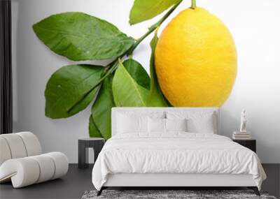 Creative layout made of lemon on green branch on white background. Flat lay. Food concept. Macro concept. Wall mural