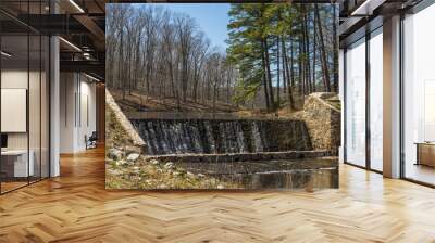 Dam and waterfall in Beaver lake, Pocahontas park Wall mural