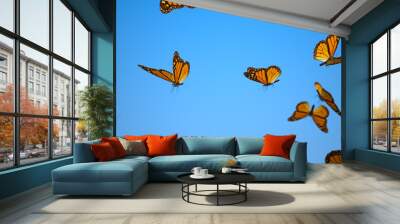 Swarm of Monarch Butterflies on blue Background. Butterfly migration in the summer. Wall mural