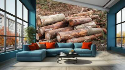 Cutting down trees in the forest by man. Scattered trees of logs of wood chips or branch. Harvesting of lumber and logs. Fight against bark beetles. Wall mural