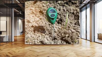 The PH meter device for measuring soil acidity and illumination in the garden measures the acidity of the soil for growing peppers, tomatoes and seedlings. Wall mural