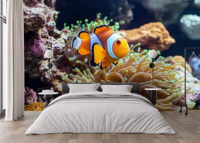 fish aquarium coral aquatic animals anemone animal barrier blue bright bubble caribbean colours colourful diving dream egypt environment green leisure life light maldives marin nature ocean orange Wall mural