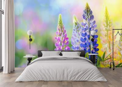  Lupine flowers in vibrant spring garden with colorful blurred bokeh background and sunlight, nature's bright beauty Wall mural