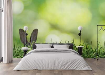 cute easter bunny ears with green grass and green background Wall mural