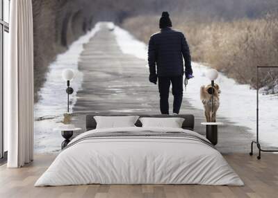 A lone, older male makes way down a long nature trail on an overcast day accompanied by his faithful dog. Wall mural