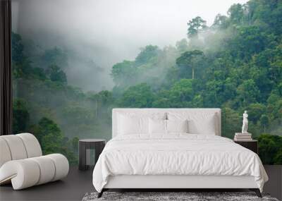 rainforest morning fog Wall mural