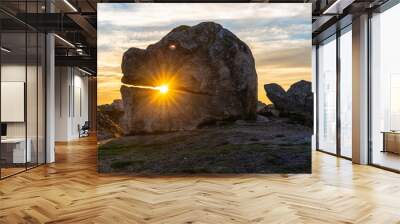 Sunset over a rock with animal head Wall mural