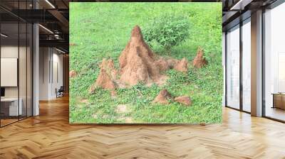 Snake Anthill in field. snake burrow or snake house made by red soil in Indian forest. Ant hill or snake house in the forest. Makes it a termite, but a snake lives in it. Wall mural