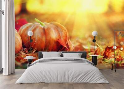 Autumn Halloween pumpkins. Orange pumpkins over bright autumnal nature background Wall mural