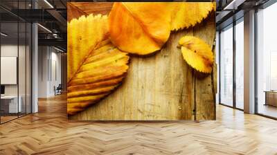 autumn leaves over wooden background.with copy space Wall mural