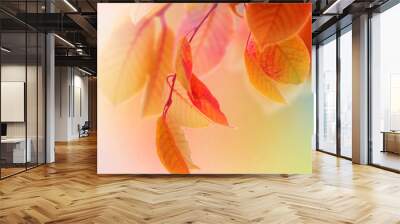 Autumn Leaves Wall mural