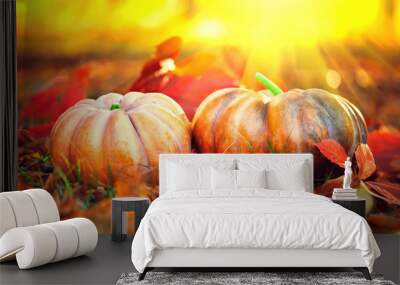 Autumn Thanksgiving pumpkins. Orange pumpkin over autumnal nature background Wall mural