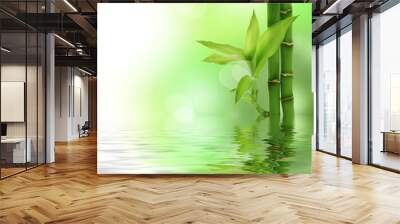 Bamboo Wall mural