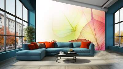 Beautiful Leaves design border over white Wall mural