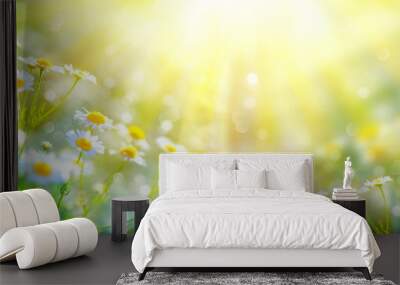 Beautiful nature scene with blooming chamomiles in sun flares Wall mural