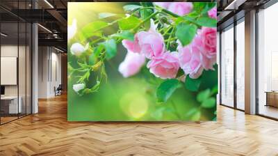 Beautiful pink Rose blooming in summer garden. Roses flowers growing outdoors, nature, blossoming flower art design background. Easter holiday rose bud close-up. Nature, Gardening concept Wall mural