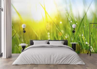 Grass. Fresh green spring grass with dew drops closeup Wall mural