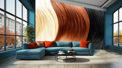 Hair colors palette. Blonde, brown and black hair colours Wall mural