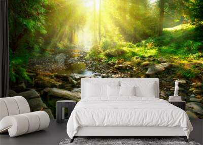 Mountain river. Tranquil scenery in the middle of green forest Wall mural