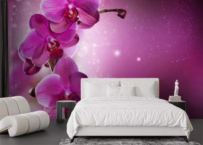 Orchid Flower border design Wall mural