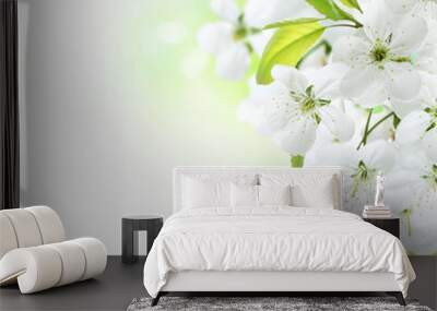 Spring Cherry Flowers border. Orchard Wall mural