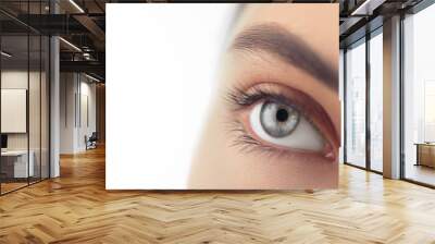 Young woman blue eye closeup. Macro eye looking up, isolated on white background Wall mural