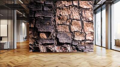 Fragment of natural bark, lit by the soft evening sunlight, may be used as contemporary expressive element of ecological or naturalistic style for interior or graphic design. Wall mural