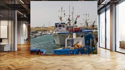 faavignana's boat Wall mural