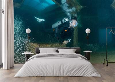 scuba diver over a wreck in the  Sea of Cortez Wall mural