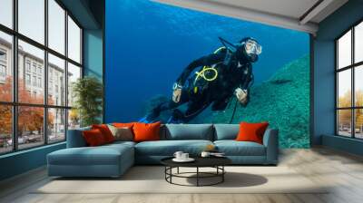 woman scuba diving over rocks in the Mediterranean Sea Wall mural